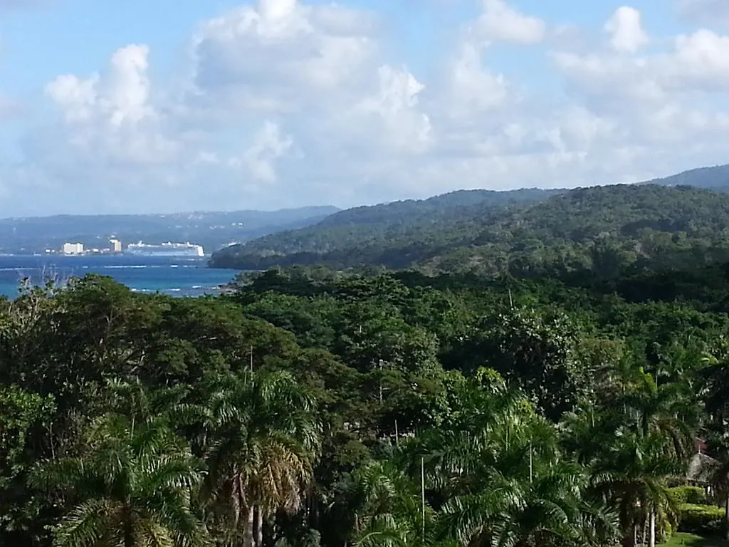 One Luxe Jamaica Villa With Private Pool, Modern Interior And Secluded Ocho Rios Jamaica
