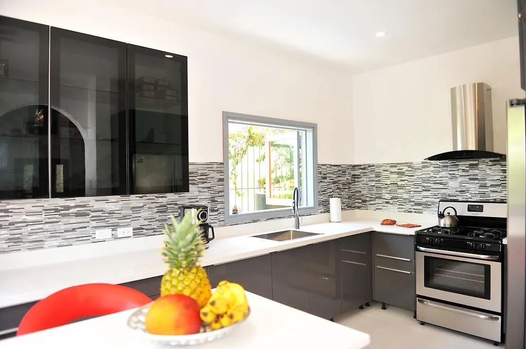 One Luxe Jamaica Villa With Private Pool, Modern Interior And Secluded Ocho Rios